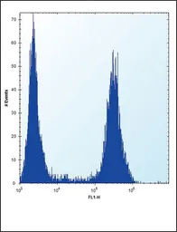 Anti-FGFR2 antibody used in Flow cytometry (FCM). GTX81341