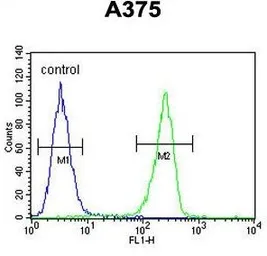 Anti-LUM antibody, Internal used in Flow cytometry (FCM). GTX81362