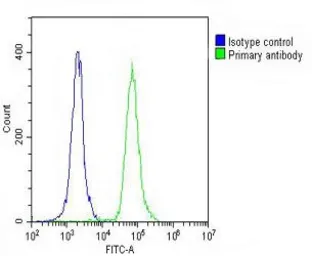 Anti-CD31 antibody, C-term used in Flow cytometry (FCM). GTX81432