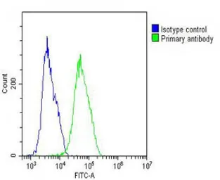 Anti-Vitronectin antibody, N-term used in Flow cytometry (FCM). GTX81434
