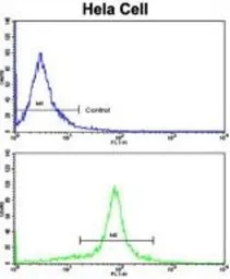 Anti-GOLPH3 antibody, C-term used in Flow cytometry (FCM). GTX81442