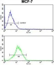 Anti-RBM3 antibody, Internal used in Flow cytometry (FCM). GTX81472