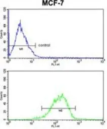 Anti-RBM3 antibody, C-term used in Flow cytometry (FCM). GTX81473
