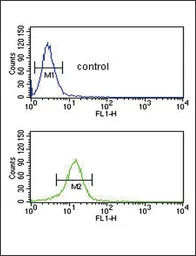 Anti-COL5A2 antibody, N-term used in Flow cytometry (FCM). GTX81507