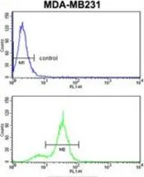 Anti-CPN2 antibody, N-term used in Flow cytometry (FCM). GTX81514