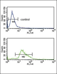 Anti-PLG antibody, C-term used in Flow cytometry (FCM). GTX81534