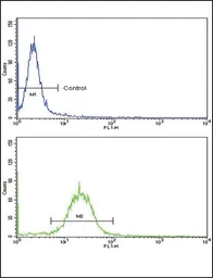 Anti-ARGBP2 antibody, N-term used in Flow cytometry (FCM). GTX81600