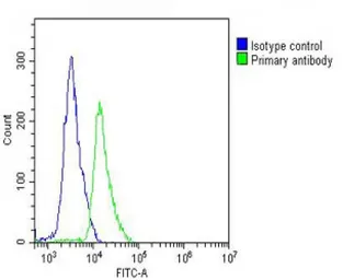 Anti-CD62L antibody, C-term used in Flow cytometry (FCM). GTX81602