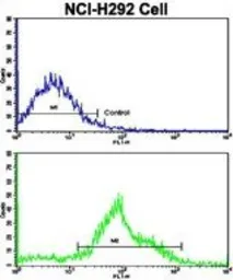 Anti-FTO antibody, N-term used in Flow cytometry (FCM). GTX81611