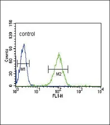 Anti-eNOS antibody, N-term used in Flow cytometry (FCM). GTX81622