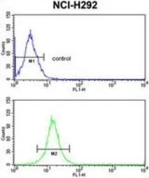 Anti-RGP1 antibody, C-term used in Flow cytometry (FCM). GTX81626