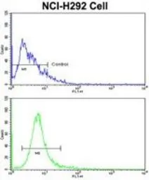 Anti-CER1 antibody, N-term used in Flow cytometry (FCM). GTX81632
