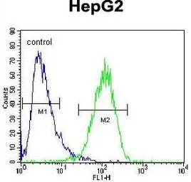 Anti-HEXA antibody, Internal used in Flow cytometry (FCM). GTX81637