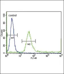 Anti-IGFBP4 antibody, N-term used in Flow cytometry (FCM). GTX81639