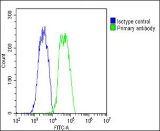 Anti-COMP antibody, Internal used in Flow cytometry (FCM). GTX81660
