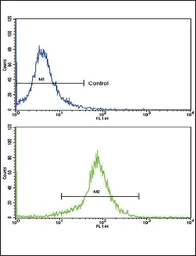 Anti-SOD3 antibody, N-term used in Flow cytometry (FCM). GTX81678