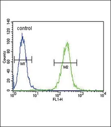 Anti-SPINK5 antibody, N-term used in Flow cytometry (FCM). GTX81680