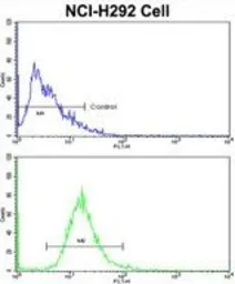 Anti-EPB41L4B antibody, C-term used in Flow cytometry (FCM). GTX81687
