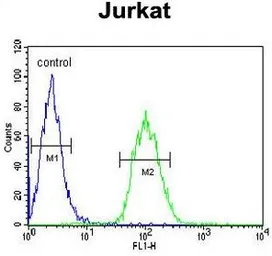 Anti-ALAD antibody, C-term used in Flow cytometry (FCM). GTX81701