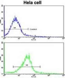 Anti-CUEDC2 antibody, C-term used in Flow cytometry (FACS). GTX81709