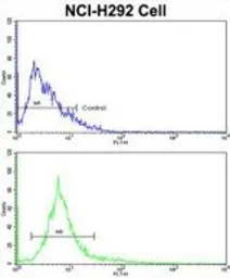 Anti-ALKBH8 antibody, C-term used in Flow cytometry (FCM). GTX81711