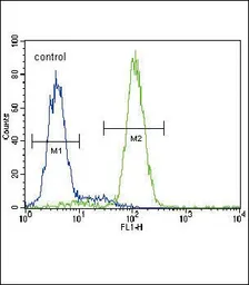 Anti-HMGCS2 antibody, C-term used in Flow cytometry (FCM). GTX81715