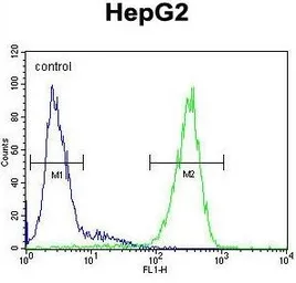 Anti-FUCA1 antibody, Internal used in Flow cytometry (FCM). GTX81717