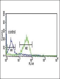 Anti-Wnt1 antibody, C-term used in Flow cytometry (FCM). GTX81721