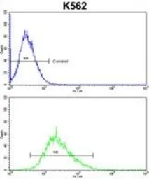 Anti-ITM2A antibody, N-term used in Flow cytometry (FCM). GTX81726