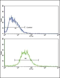 Anti-IL17 Receptor beta antibody, Internal used in Flow cytometry (FCM). GTX81729