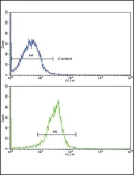 Anti-SPARC antibody, C-term used in Flow cytometry (FCM). GTX81749