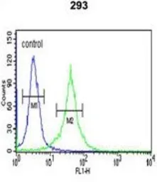 Anti-DCD antibody, C-term used in Flow cytometry (FCM). GTX81756
