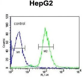 Anti-Antithrombin III antibody, C-term used in Flow cytometry (FCM). GTX81758