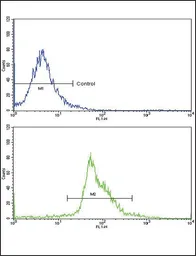 Anti-PAX4 antibody, Internal used in Flow cytometry (FCM). GTX81771