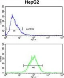Anti-SPCS3 antibody, C-term used in Flow cytometry (FCM). GTX81778