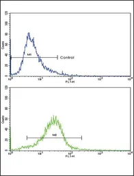 Anti-COL6A1 antibody, C-term used in Flow cytometry (FCM). GTX81823