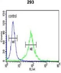Anti-WTX antibody, Internal used in Flow cytometry (FCM). GTX81847