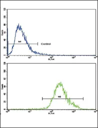 Anti-CNOT8 antibody, C-term used in Flow cytometry (FCM). GTX81874