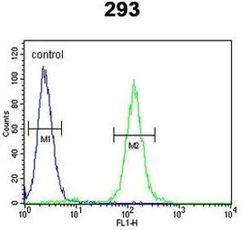 Anti-SUV4-20H2 antibody, Internal used in Flow cytometry (FCM). GTX81881