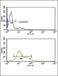 Anti-MDH1 antibody, C-term used in Flow cytometry (FCM). GTX81955