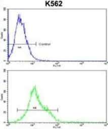 Anti-HSP105 antibody, Internal used in Flow cytometry (FCM). GTX81974