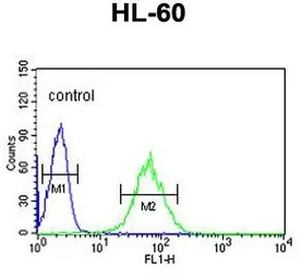 Anti-SNRPD1 antibody, Internal used in Flow cytometry (FCM). GTX81985