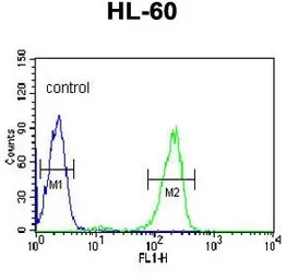 Anti-SNRPD1 antibody, C-term used in Flow cytometry (FCM). GTX81986