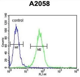 Anti-SOX4 antibody, N-term used in Flow cytometry (FCM). GTX82513