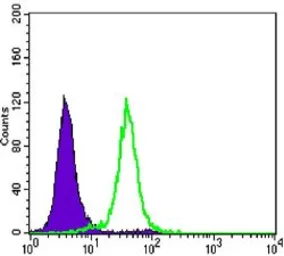 Anti-Cyclin B1 antibody [5G6] used in Flow cytometry (FCM). GTX82750