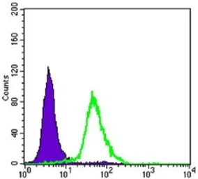 Anti-TORC2 antibody [5B10] used in Flow cytometry (FCM). GTX82754