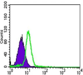 Anti-CSK antibody [5F3] used in Flow cytometry (FCM). GTX82757