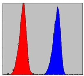Anti-IKK alpha antibody [3G12H9] used in Flow cytometry (FCM). GTX82770