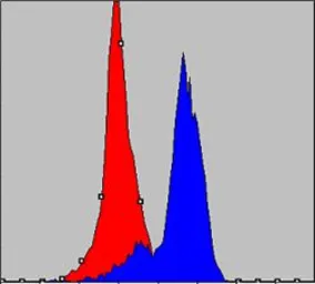 Anti-COX4 antibody [6B3] used in Flow cytometry (FCM). GTX82782