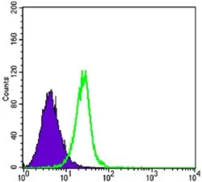 Anti-SMAD4 antibody [4G1C6] used in Flow cytometry (FCM). GTX82787